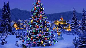 Πατήστε στην εικόνα για να τη δείτε σε μεγέθυνση. 

Όνομα:  Christmas-Tree-Nature_lg.jpeg 
Εμφανίσεις:  412 
Μέγεθος:  86,8 KB 
ID: 189815