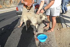 Πατήστε στην εικόνα για να τη δείτε σε μεγέθυνση. 

Όνομα:  413763_Screenshot_1_53.jpg 
Εμφανίσεις:  26 
Μέγεθος:  54,5 KB 
ID: 109938