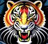 Το avatar του μέλους tigra23