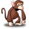 Το avatar του μέλους babouin